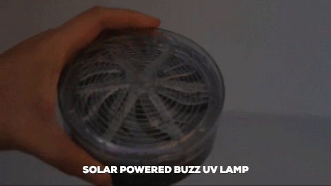 Image result for Solar Powered Buzz UV Lamp gifs