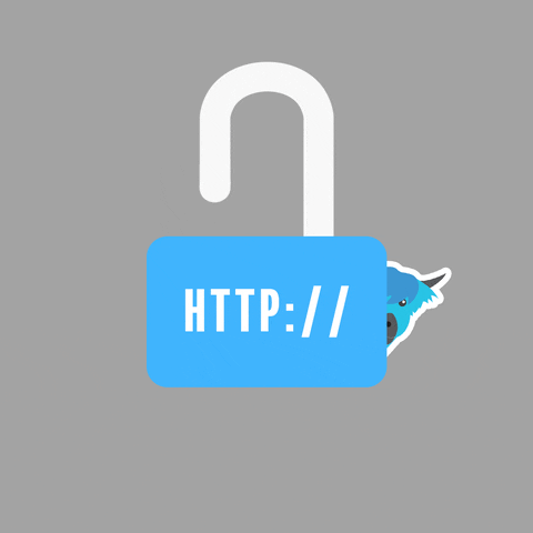 HTTPS