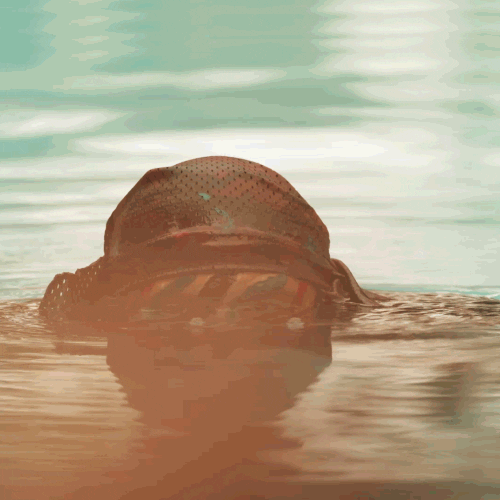 Trumpet GIFs Find & Share on GIPHY