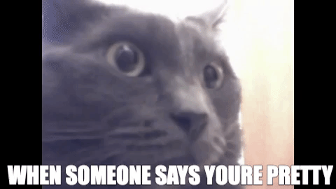 i believe daruma air force 1