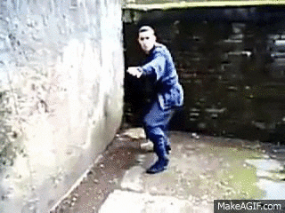 giphy.gif