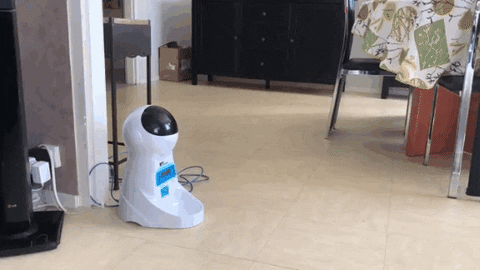 Automatic Pet dog cat Feeder Dispenser With Voice Record ? Forevermily