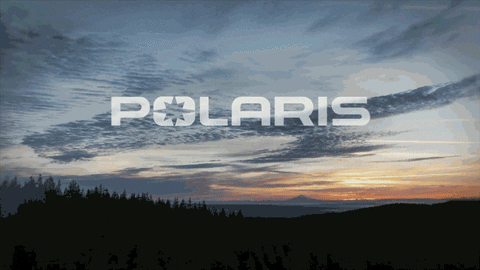 Polaris RZR GIF - Find & Share on GIPHY