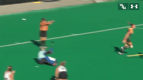 William & Mary Tribe Athletics GIF