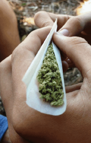 Biggest Cannabis Buds GIF