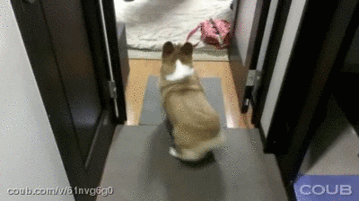 Bubble Butt Buns GIF - Find & Share on GIPHY
