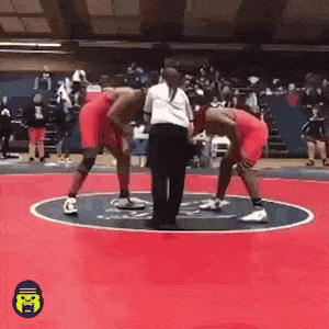 Best wrestling match ive ever seen in funny gifs