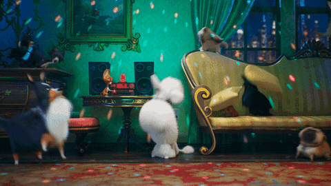Rock On Party GIF by The Secret Life Of Pets