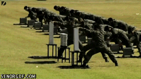 [Obrazek: giphy.gif]