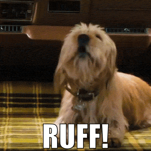 We'Re Gonna Die Steve Carell GIF by Anchorman Movie - Find & Share on GIPHY