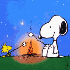Image result for cartoon camp gif