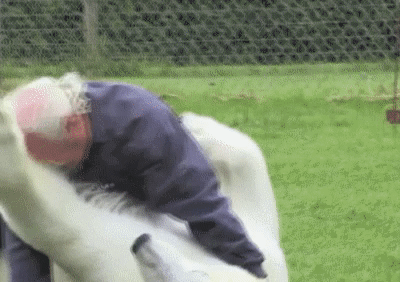 https://media.giphy.com/media/LEOsO8OZdeEpi/giphy.gif