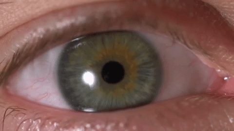 Moving Eyes GIFs - Find & Share on GIPHY