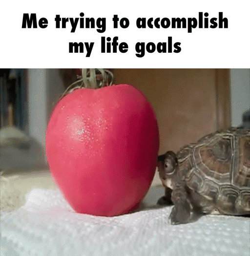 Life Goals GIF Find & Share on GIPHY