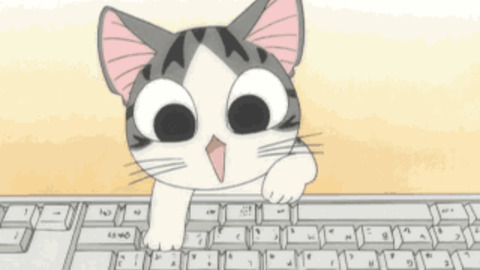 Cat GIF - Find & Share on GIPHY