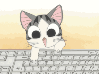 gif de chat sur un clavier