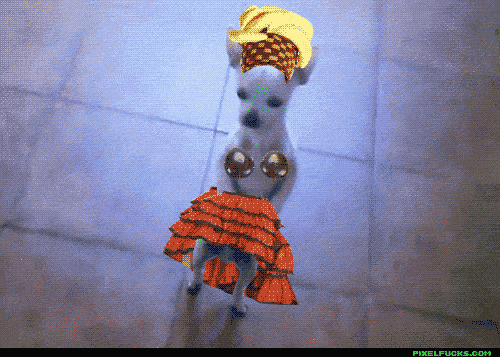 Chihuahua Dancing GIF Find & Share on GIPHY