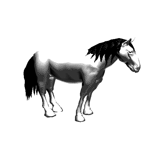 Cg Horse GIFs Find & Share on GIPHY