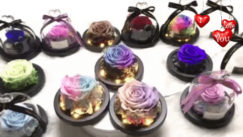 Everlasting Light up Rose Dome - Shanellesgifts