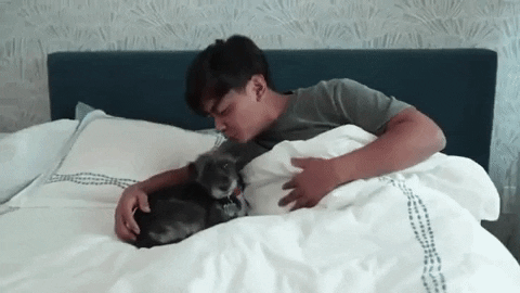 a person being cozy in bed and kissing their pup

Great Job Love GIF By Guava Juice
https://media.giphy.com/media/W1fgjsfMCkYBDPmWcn/giphy.gif