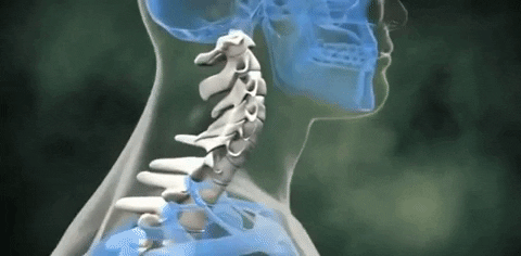Image result for tractors for cervical spine gif