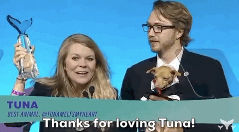 Tuna GIF by Shorty Awards