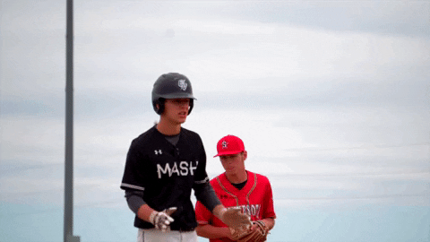 Lets Go Baseball GIF by Minnesota MASH - Find & Share on GIPHY
