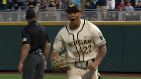 Michigan Athletics GIF