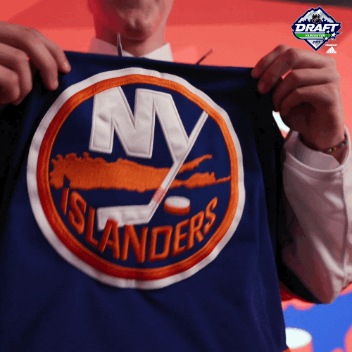 Ice Hockey Sport GIF by NHL Find & Share on GIPHY