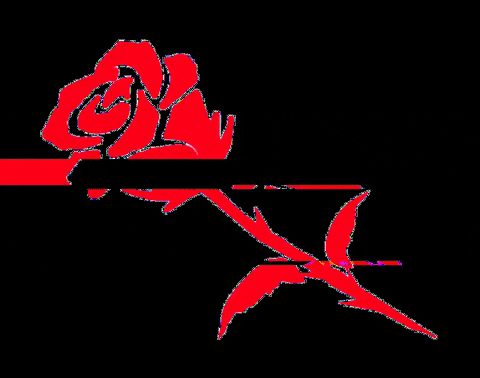 Rob Jelinski Studios GIF