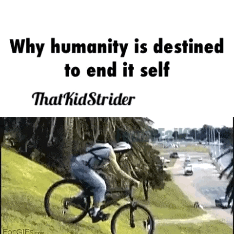 Bay Humanity GIF Find Share on GIPHY