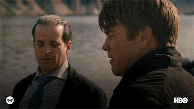 Season 2 Finale GIF by Westworld HBO