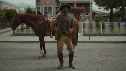 Horse Old Town Road GIF by Lil Nas X