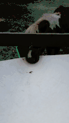 fingers