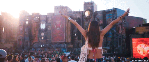 Electronic Music Edm GIF - Find & Share on GIPHY