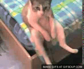 Giphy