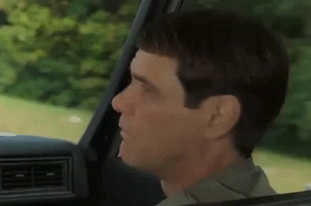 https://media.giphy.com/media/LdUE22oOquvJK/giphy.gif