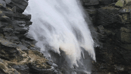 giphy.gif