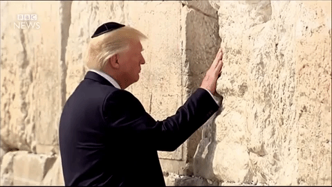 Image result for trump israel gif