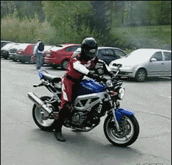 Bike stunt gone wrong in fail gifs