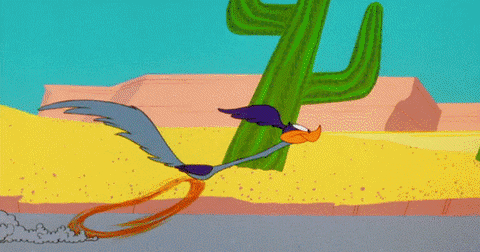 Road Runner Beep GIF - Find & Share on GIPHY
