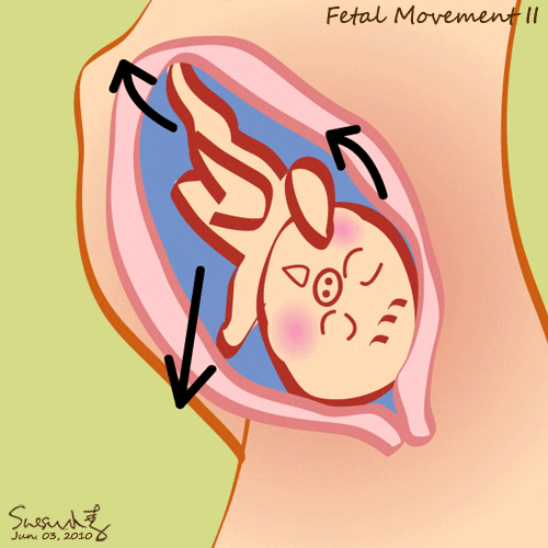 На что похожи первые шевеления плода: ощущения беременной - изображение №1