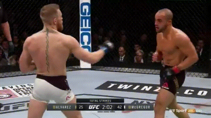 Mcgregor Conor GIF - Find & Share on GIPHY