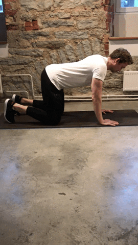 Animated GIF
