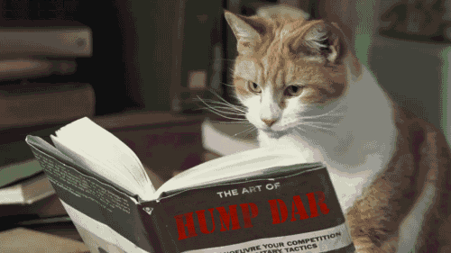 Cat licking paw and flipping the page of a book