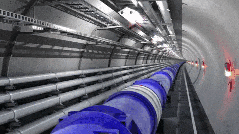 giphy-downsized-large.gif