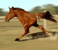 Лавров признал участие РФ в войне против Украины: "Если бы мы этого не сделали, мы бы предали свою цивилизацию" - Цензор.НЕТ 3289