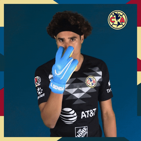 Liga Mx Football GIF by Club America