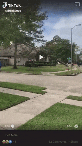 DIY tree removal in fail gifs