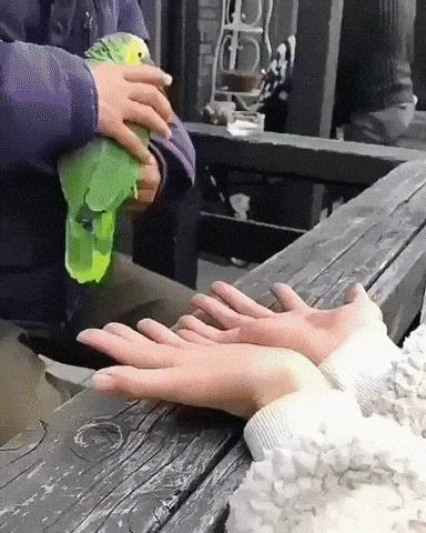 Roll in hand in funny gifs